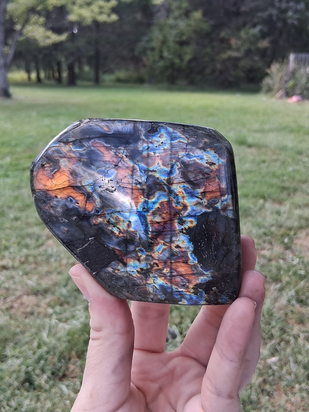 Labradorite Freeform 3” High Flash Blue Orange Polished Crystal Display Stone